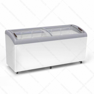 Glass door & frame for commercial display deep freezer